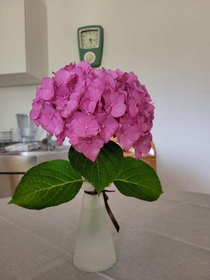 Ferienwohnung Sonnenschein Obernkirchen Buitenkant foto